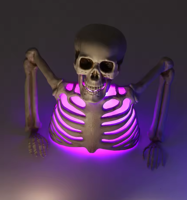 SCHELETRO INCANDESCENTE